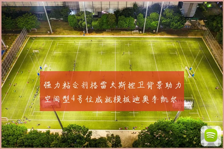 强力粘合剂格雷夫斯控卫背景助力空间型4号位成就模板迪奥李凯尔